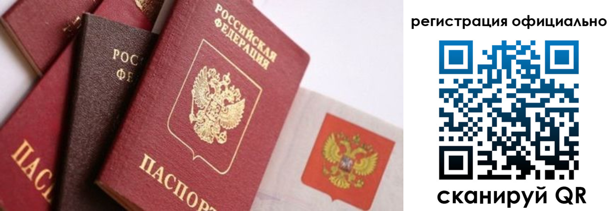прописка гарантия в Обояни
